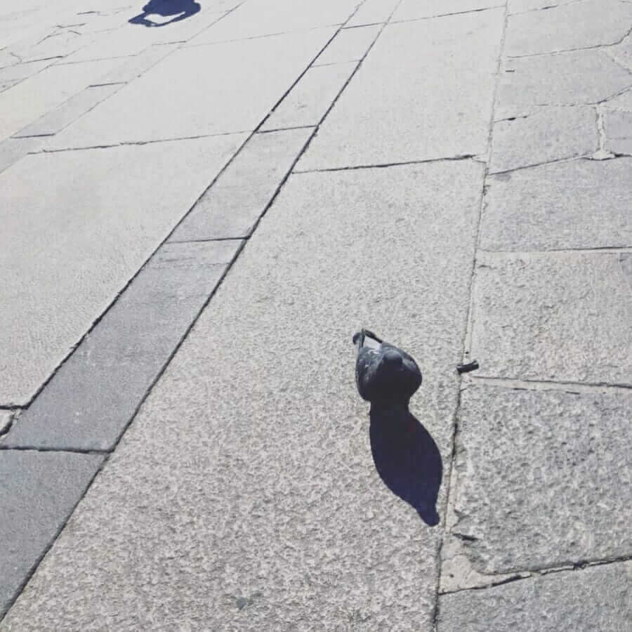 米兰，你一生都不可错过的城市。